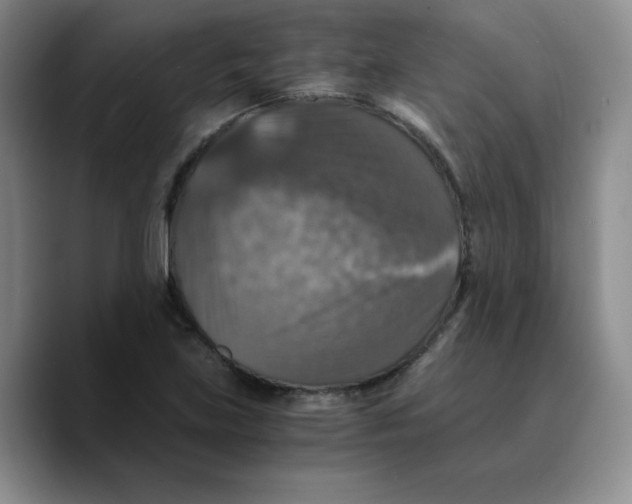 X0000089691219200707201713