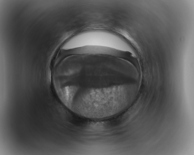 X0000089691221200707201713