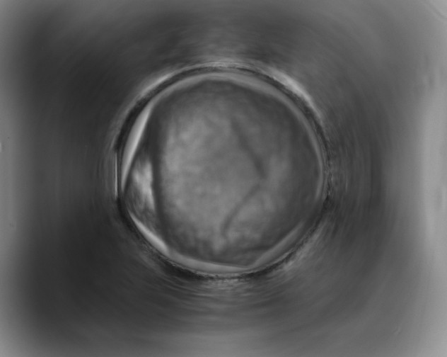 X0000089691223200707201713