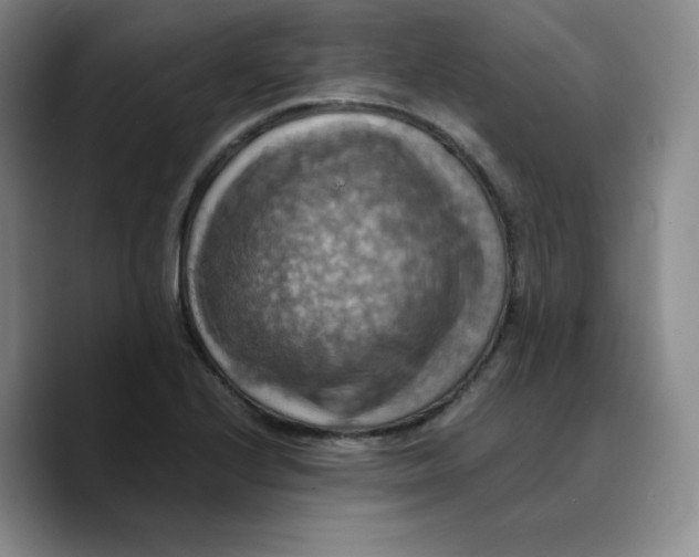 X0000089691224200707201713