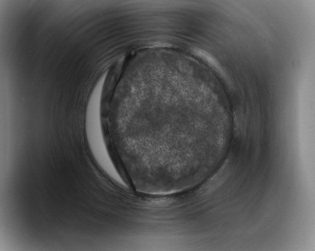 X0000089691225200707201713