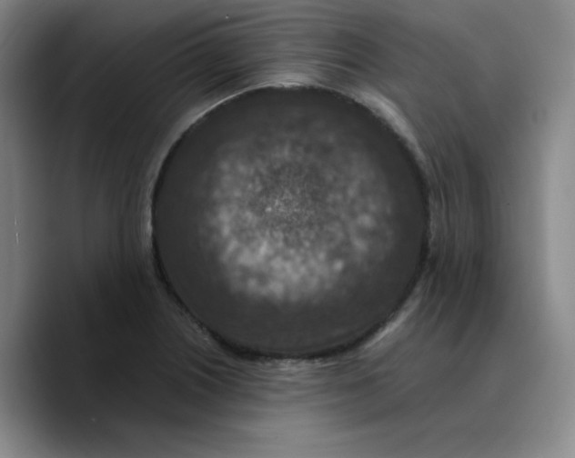 X0000089691226200707201713