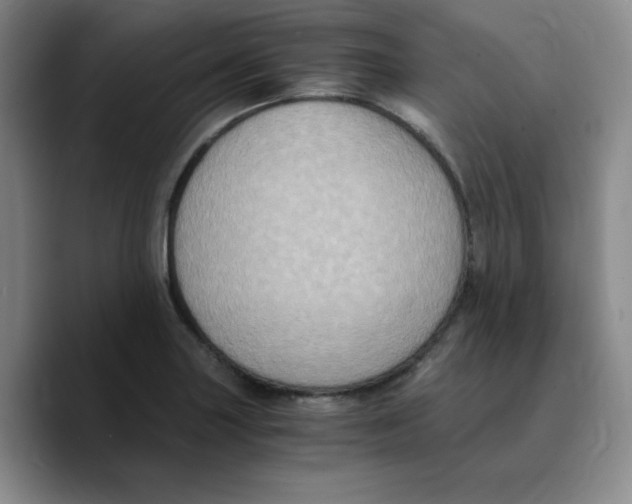 X0000089691227200707201713