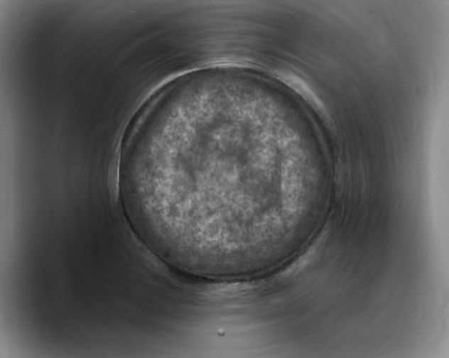 X0000089691228200707201713