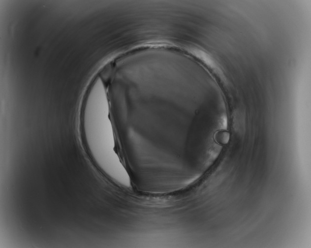 X0000089691229200707201713