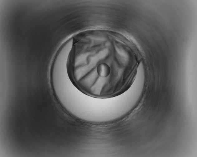 X0000089691230200707201713