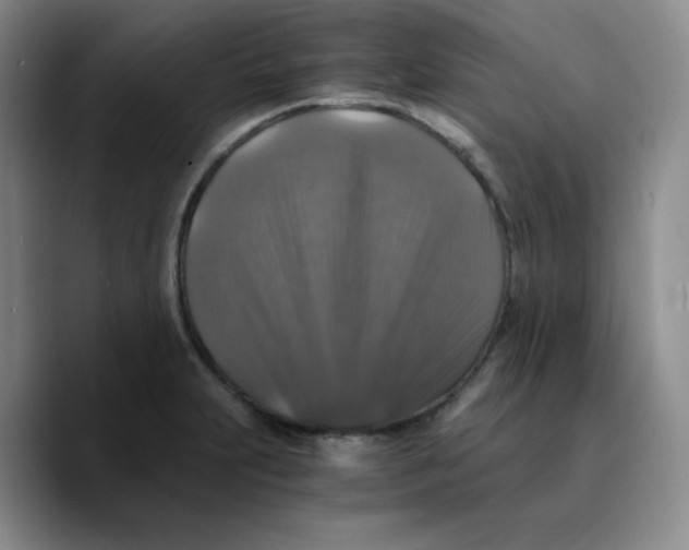 X0000089691231200707201713