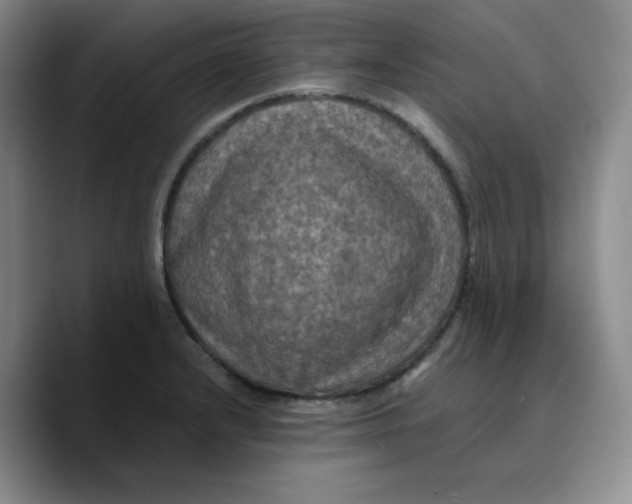 X0000089691232200707201713