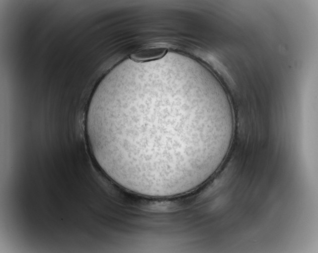 X0000089691233200707201713