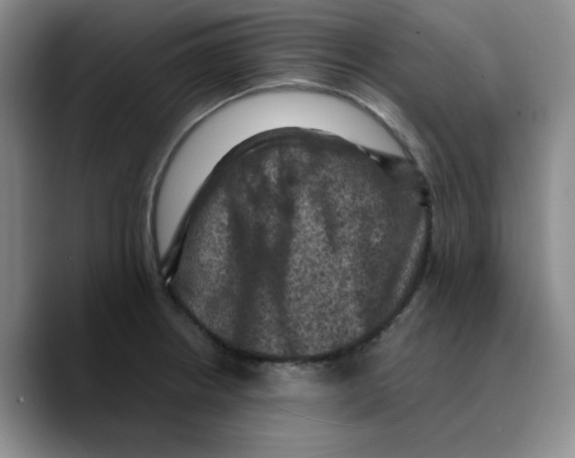 X0000089691234200707201713