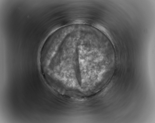 X0000089691235200707201713