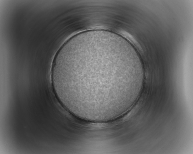 X0000089691236200707201713