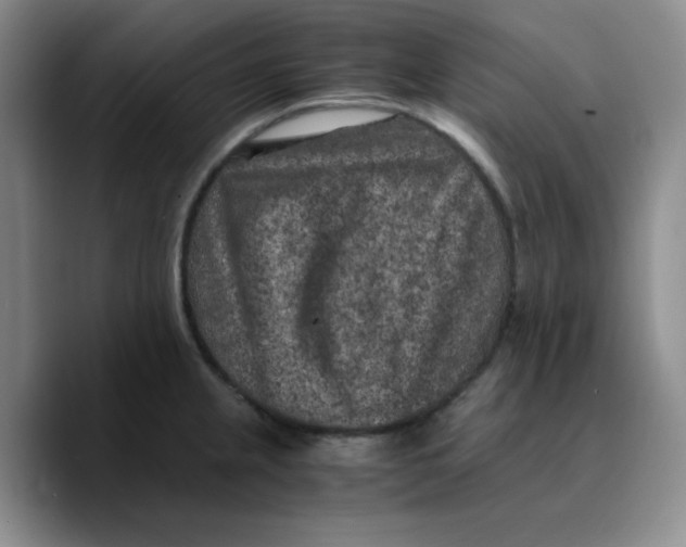 X0000089691237200707201713