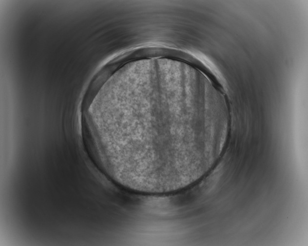 X0000089691238200707201713