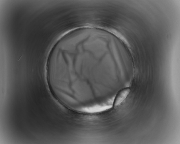 X0000089691239200707201713