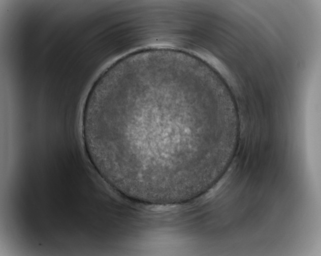 X0000089691240200707201713