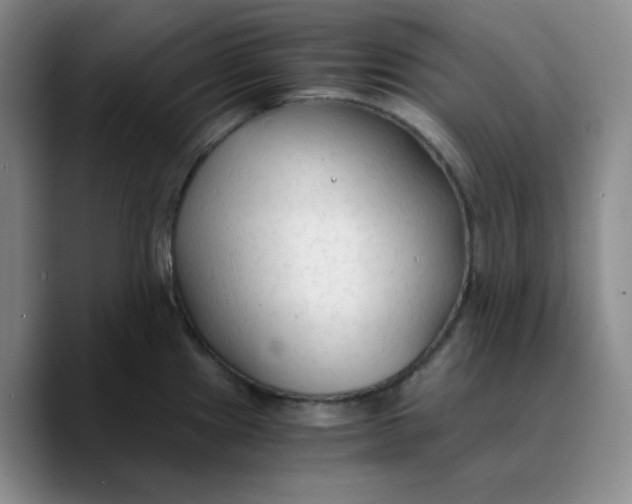 X0000089691241200707201713