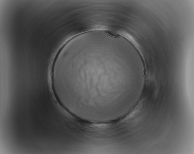 X0000089691243200707201714
