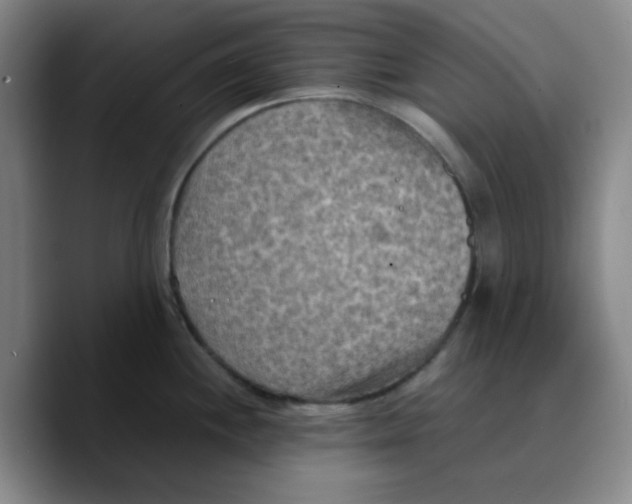 X0000089691244200707201714