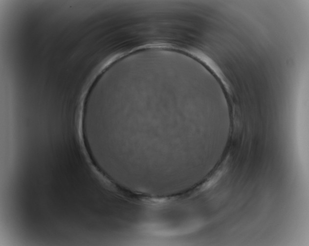 X0000089691245200707201714