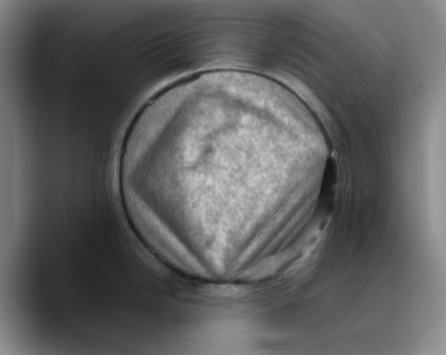 X0000089691246200707201714