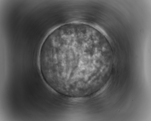 X0000089691247200707201714