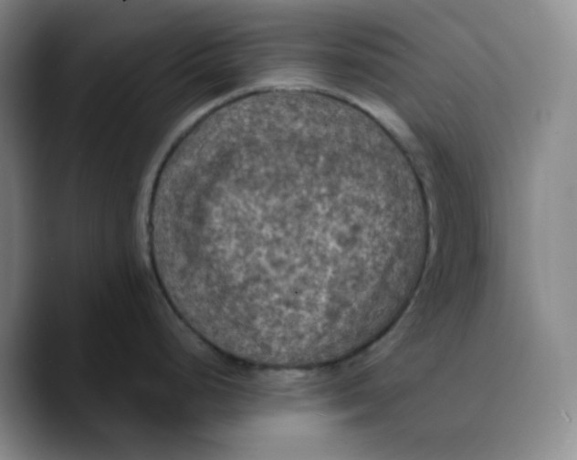 X0000089691248200707201714