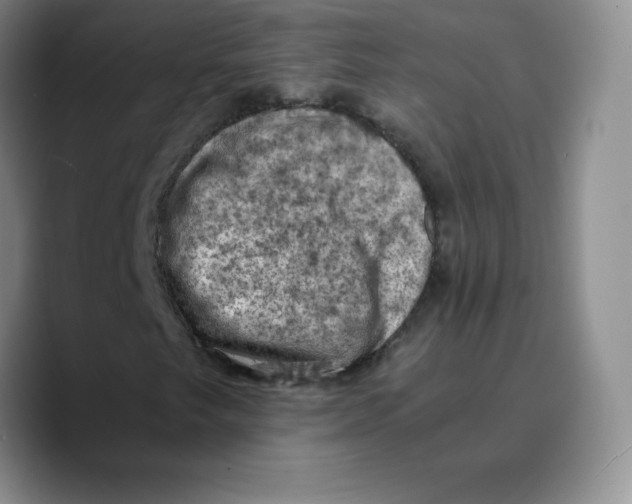 X0000089691249200707201713