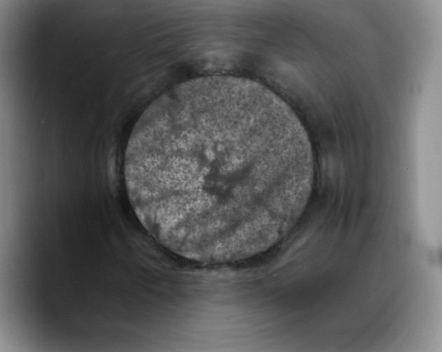X0000089691250200707201713
