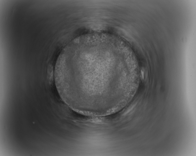 X0000089691251200707201713