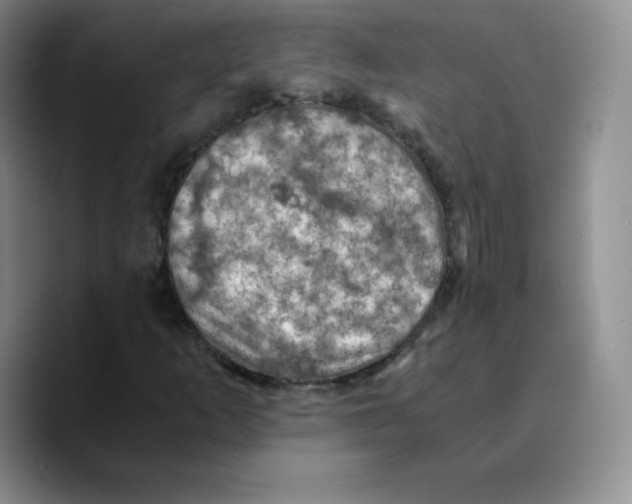 X0000089691253200707201713