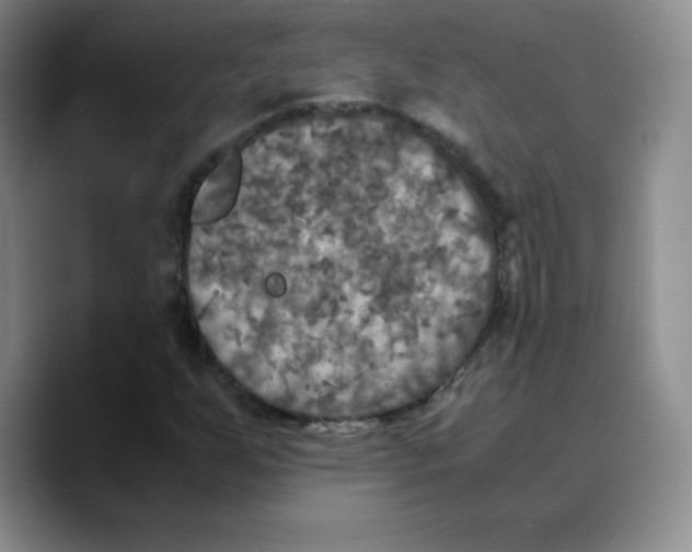 X0000089691255200707201713