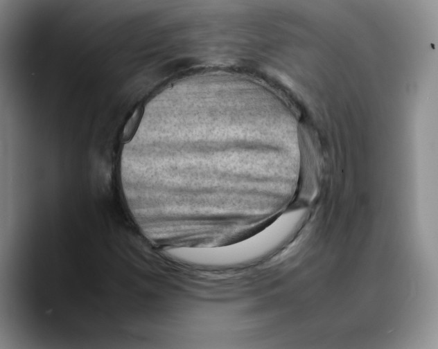 X0000089691257200707201713