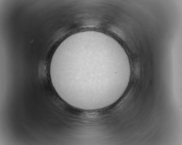 X0000089691258200707201713