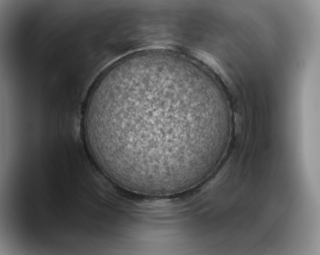 X0000089691260200707201713