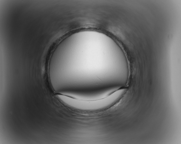 X0000089691261200707201713