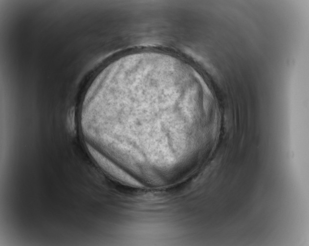 X0000089691262200707201713
