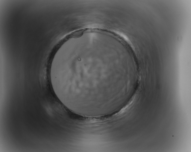 X0000089691263200707201713