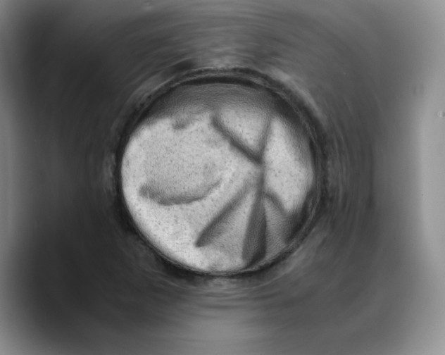 X0000089691265200707201713