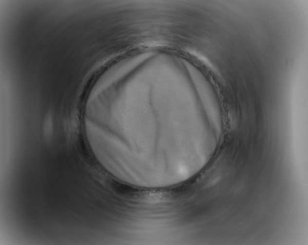 X0000089691266200707201713