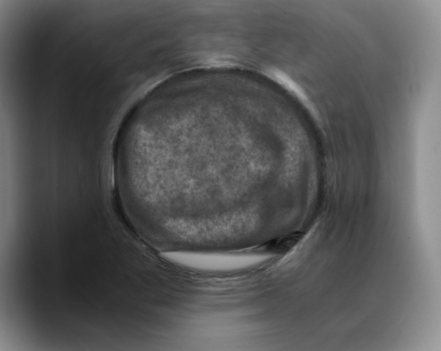 X0000089691269200707201713