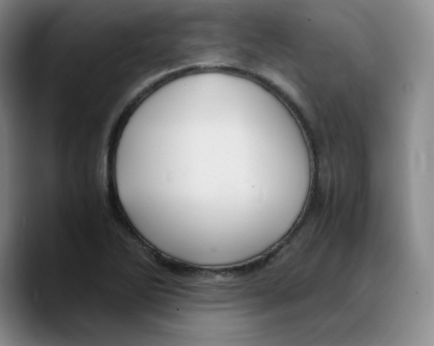 X0000089691270200707201713
