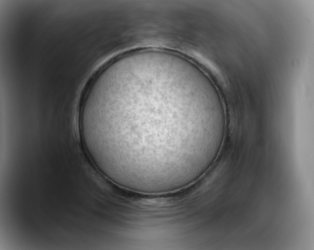 X0000089691272200707201713