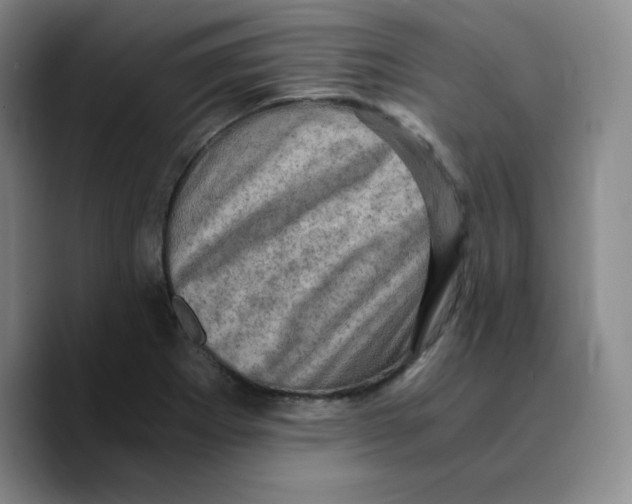 X0000089691273200707201713