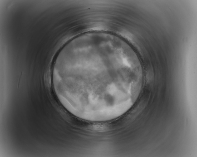 X0000089691274200707201713