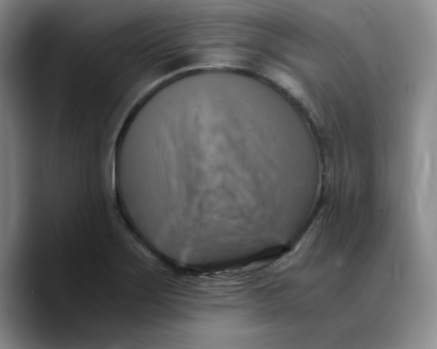X0000089691275200707201713