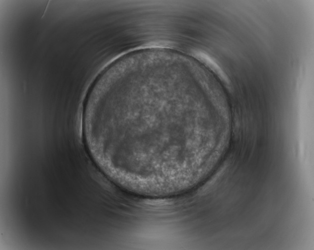 X0000089691276200707201713