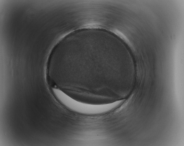 X0000089691277200707201713