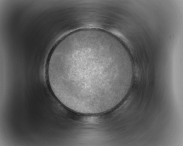 X0000089691278200707201713