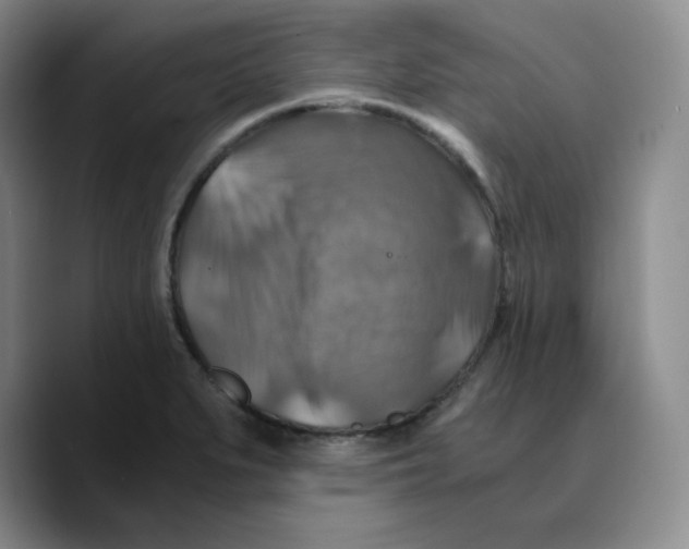 X0000089691279200707201713